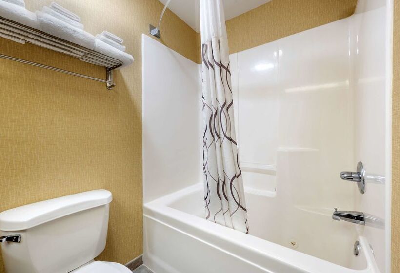 فندق Best Western Circus City Inn