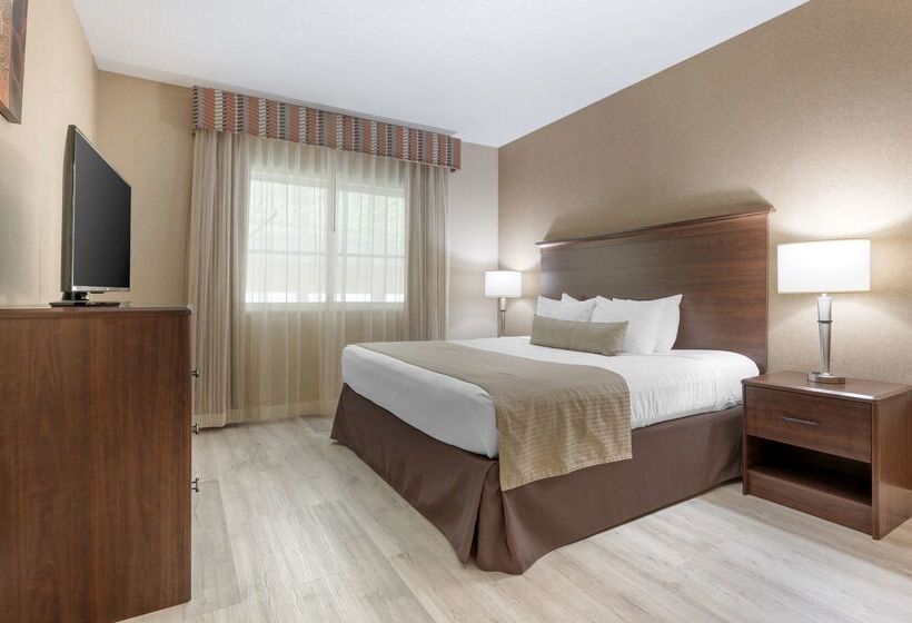 فندق Best Western Circus City Inn