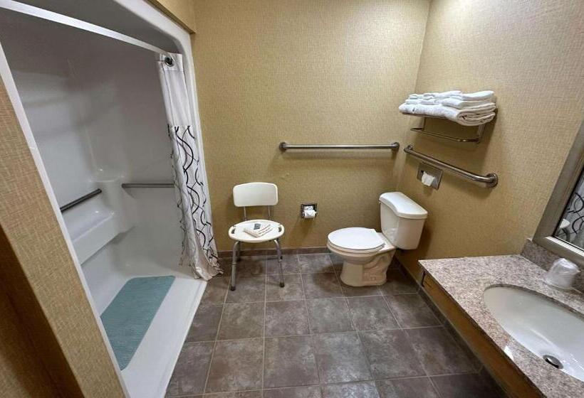 فندق Best Western Circus City Inn