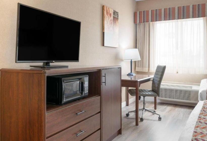 فندق Best Western Circus City Inn