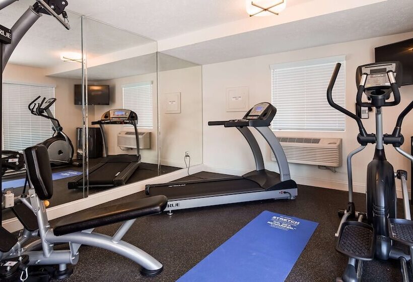 酒店 Best Western Clovis Cole