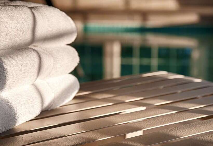 호텔 Best Western Dallas Inn & Suites