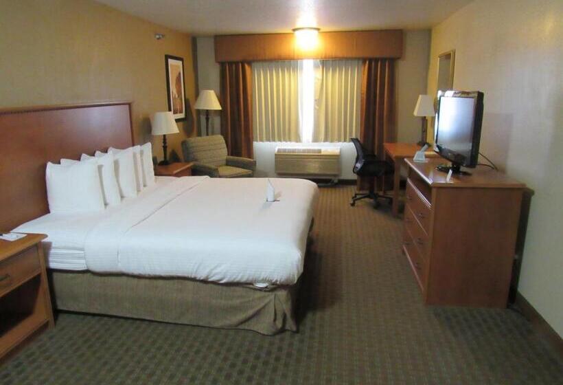 酒店 Best Western Empire Towers