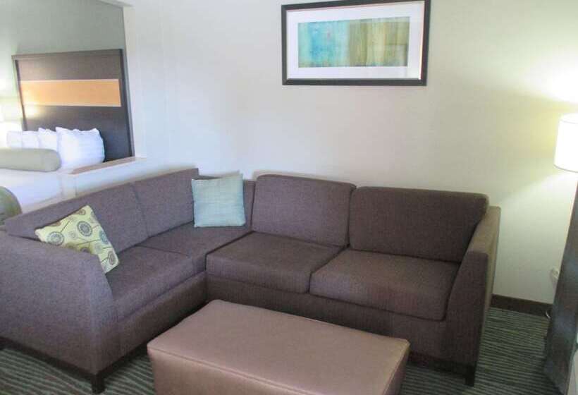 هتل Best Western Executive Suites