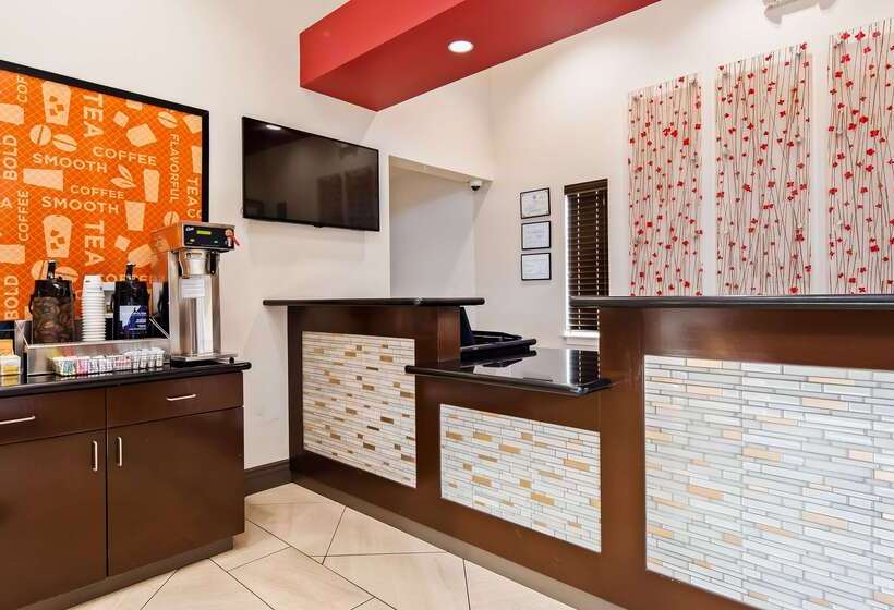 בית מלון כפרי Best Western Fallon Inn & Suites