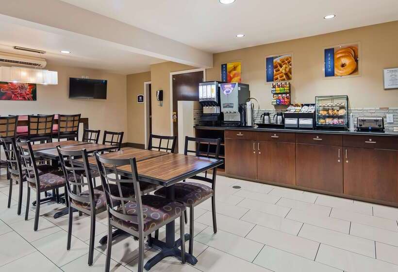 בית מלון כפרי Best Western Fallon Inn & Suites