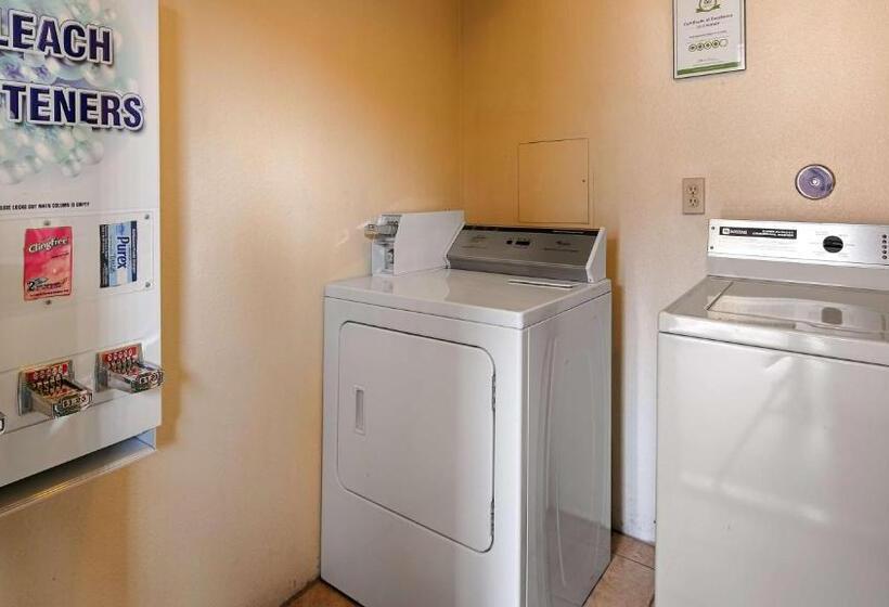 בית מלון כפרי Best Western Fallon Inn & Suites