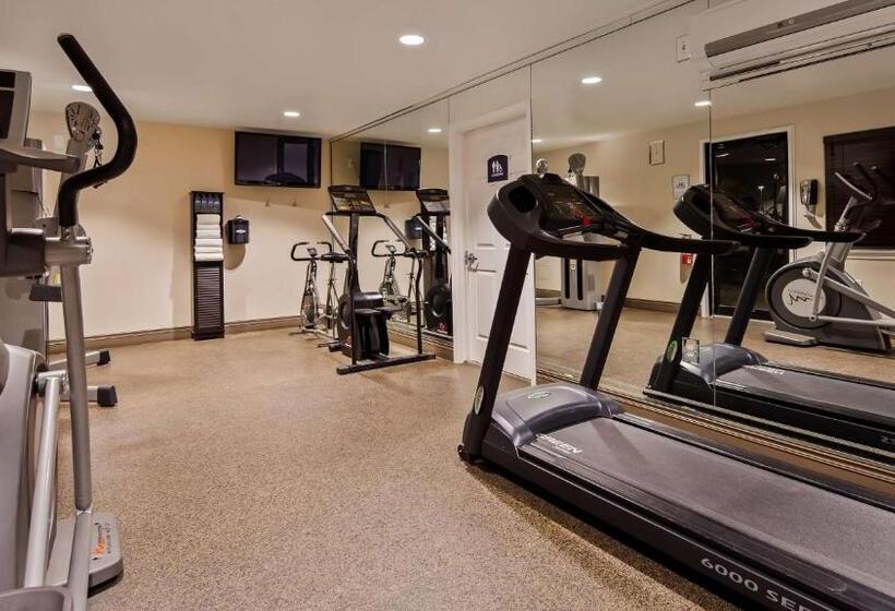 בית מלון כפרי Best Western Fallon Inn & Suites