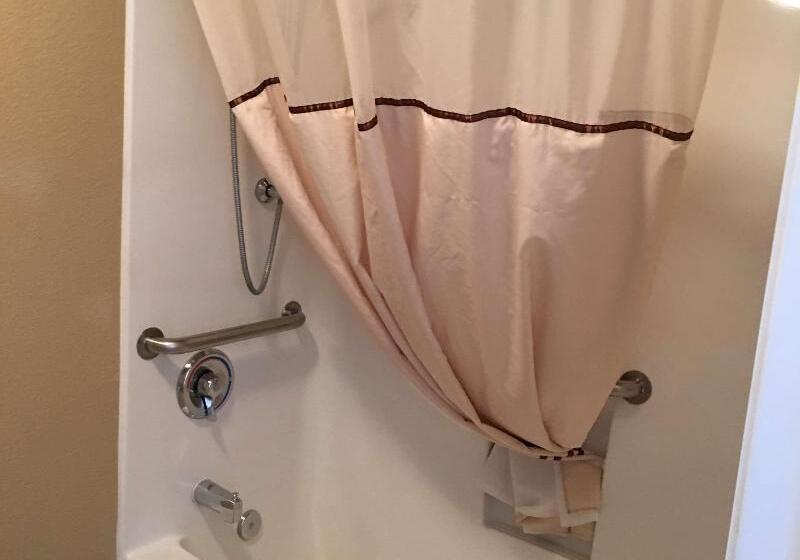 בית מלון כפרי Best Western Fallon Inn & Suites