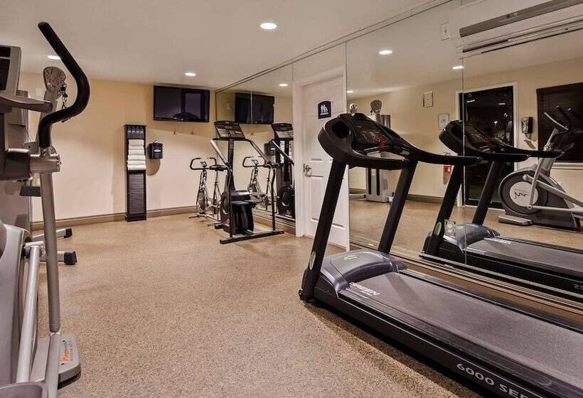 בית מלון כפרי Best Western Fallon Inn & Suites