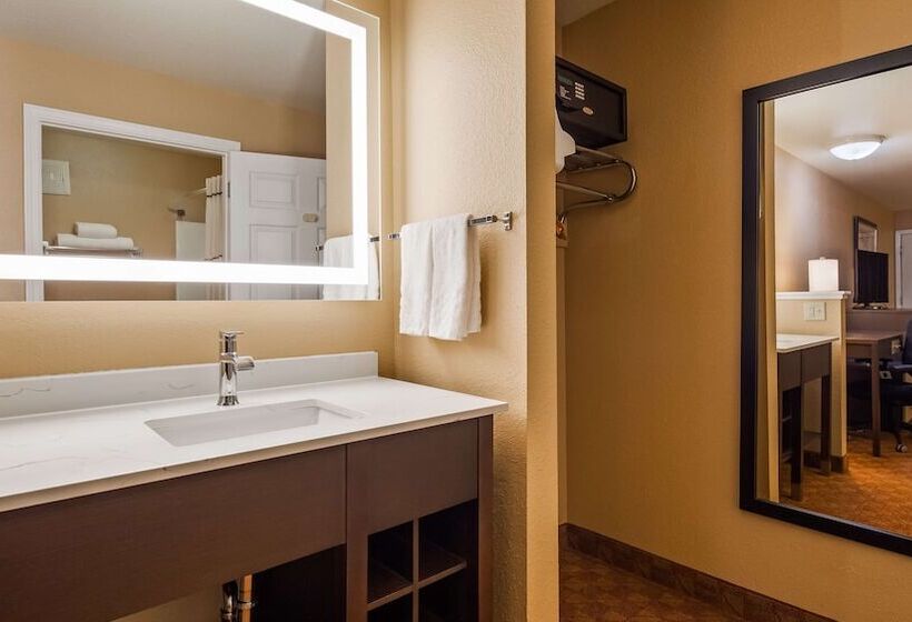 בית מלון כפרי Best Western Fallon Inn & Suites