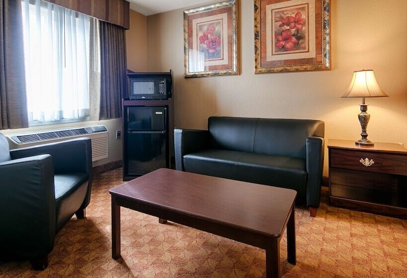 בית מלון כפרי Best Western Fallon Inn & Suites