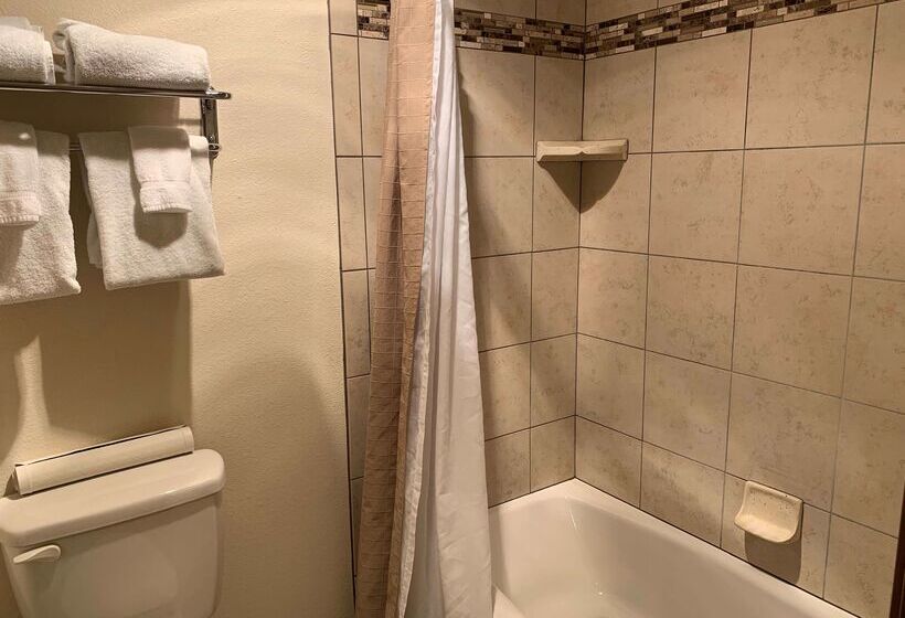 فندق Best Western Grande River Inn & Suites