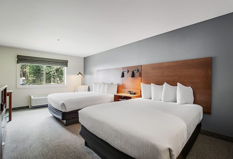 فندق Third Street Inn