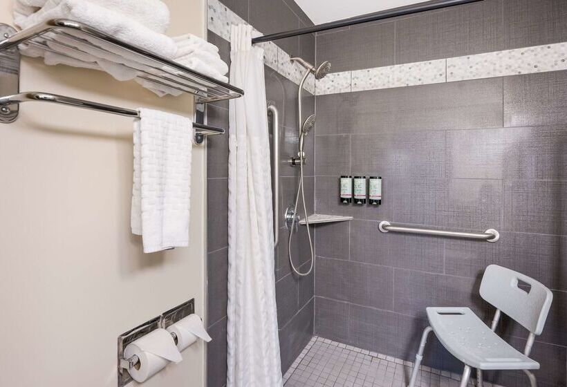 فندق Best Western Mountain View Inn