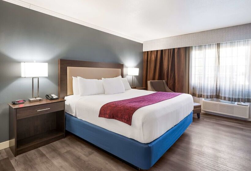 فندق Best Western Mountain View Inn