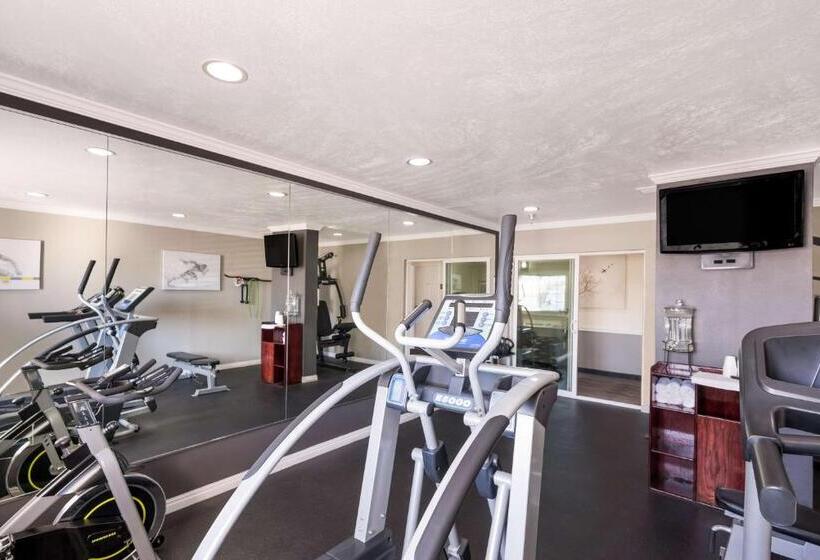 فندق Best Western Mountain View Inn