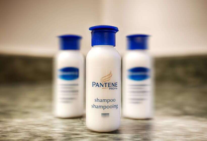 هتل Best Western Oakbrook Inn