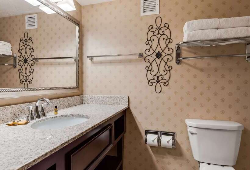 בית מלון כפרי Best Western Plus Abbey Inn