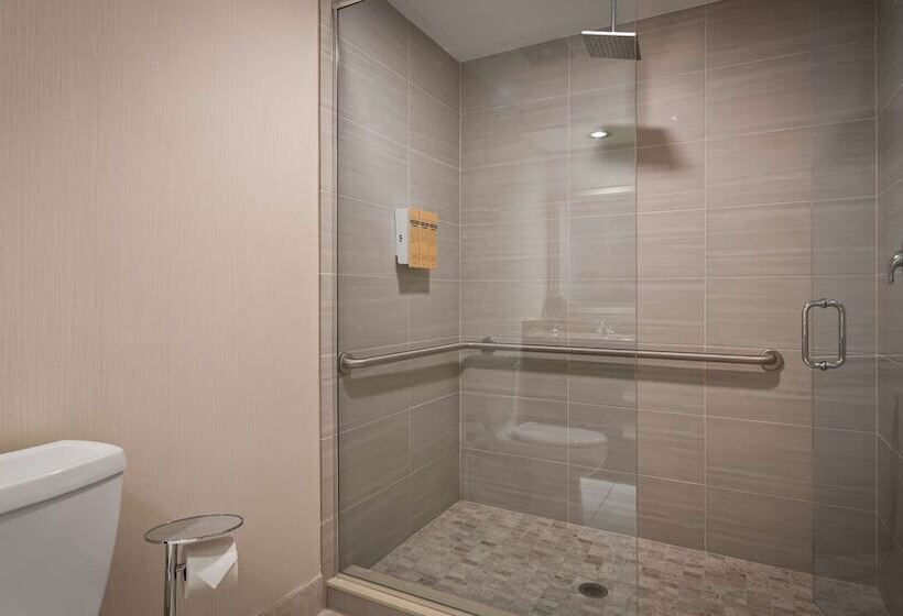 فندق Best Western Plus Ambassador Suites