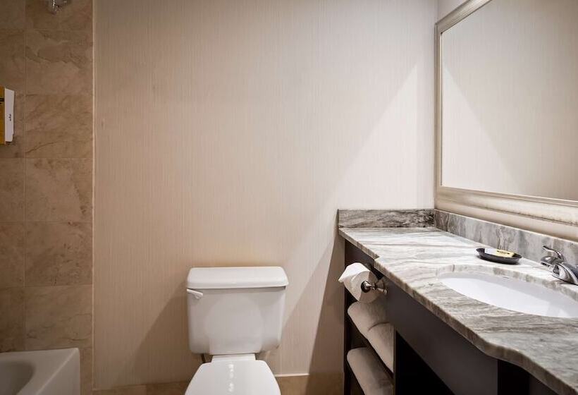 ホテル Best Western Plus Ambassador Suites