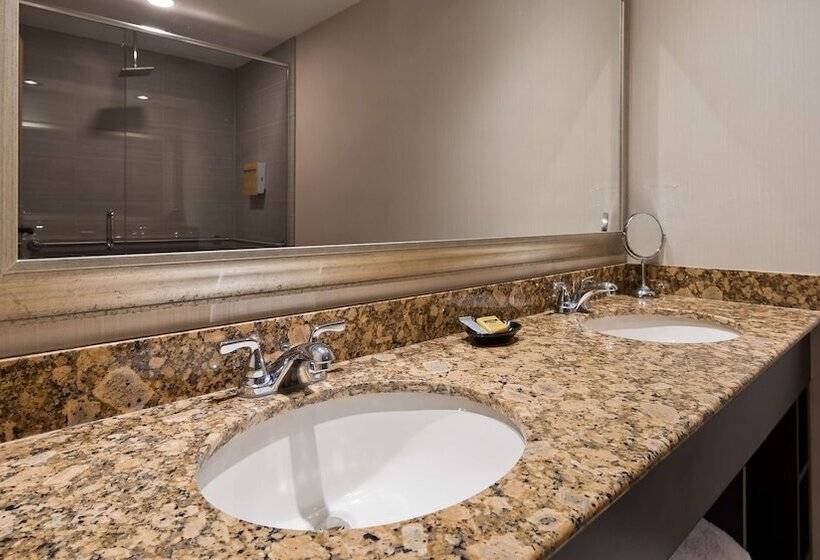 ホテル Best Western Plus Ambassador Suites