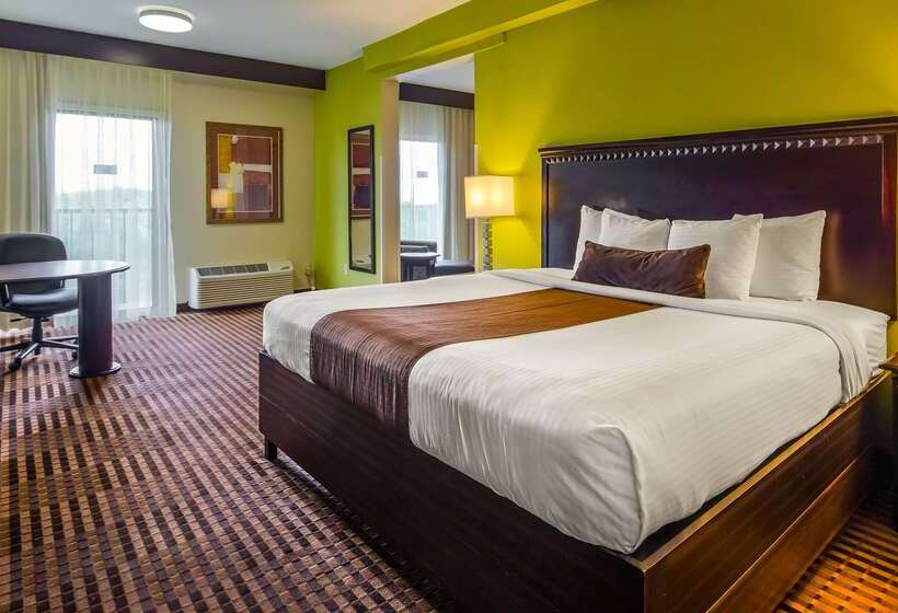 Отель Best Western Plus Atlanta Airporteast