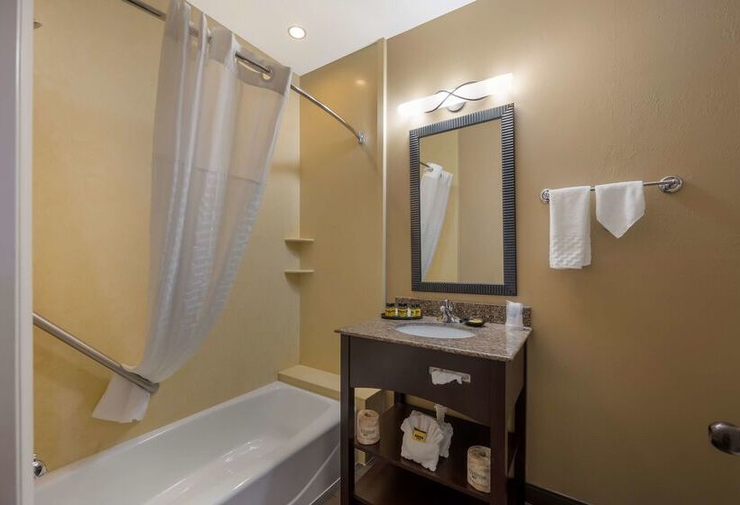 酒店 Best Western Plus Canyonlands Inn