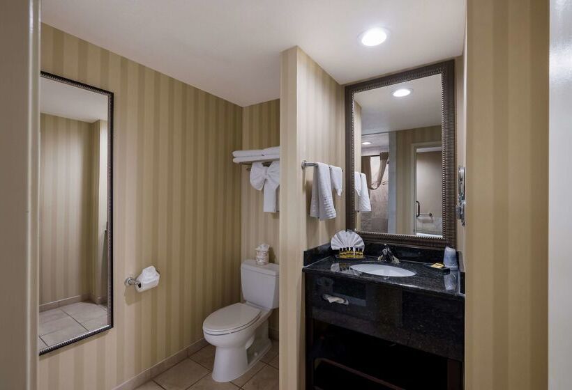 酒店 Best Western Plus Canyonlands Inn