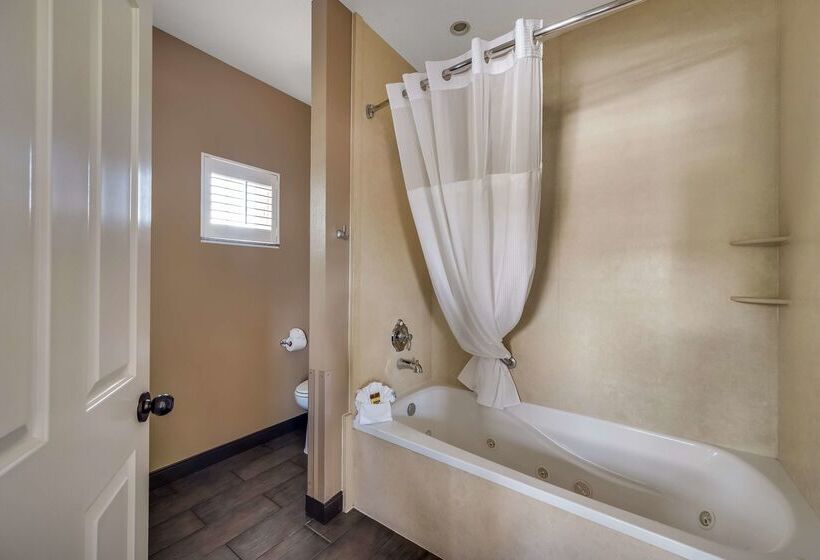 هتل Best Western Plus Canyonlands Inn