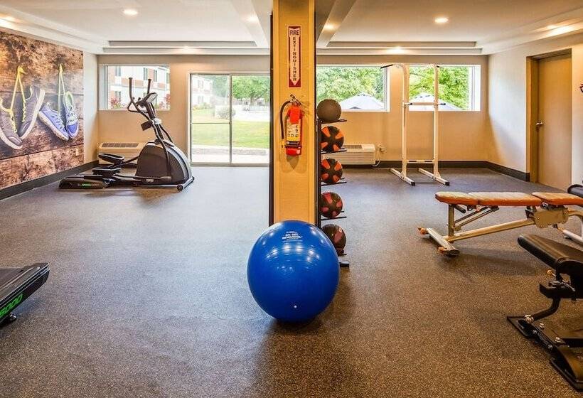 فندق Best Western Plus Chelmsford Inn