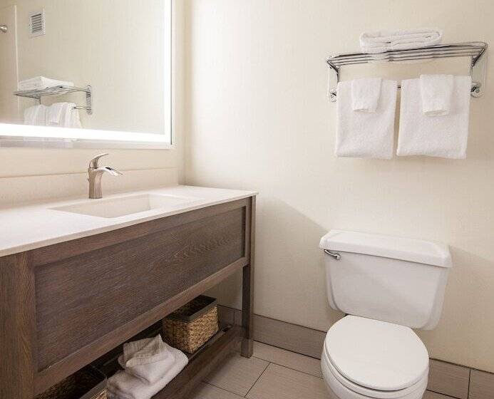 فندق Best Western Plus University Park Inn & Suites