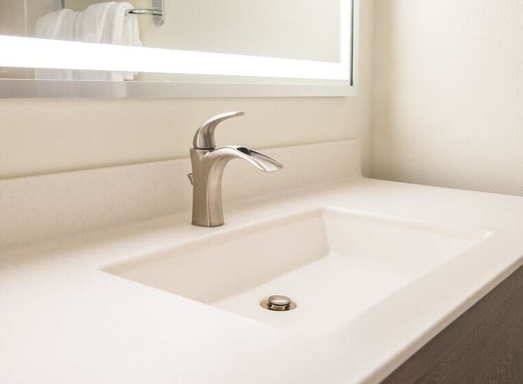 فندق Best Western Plus University Park Inn & Suites