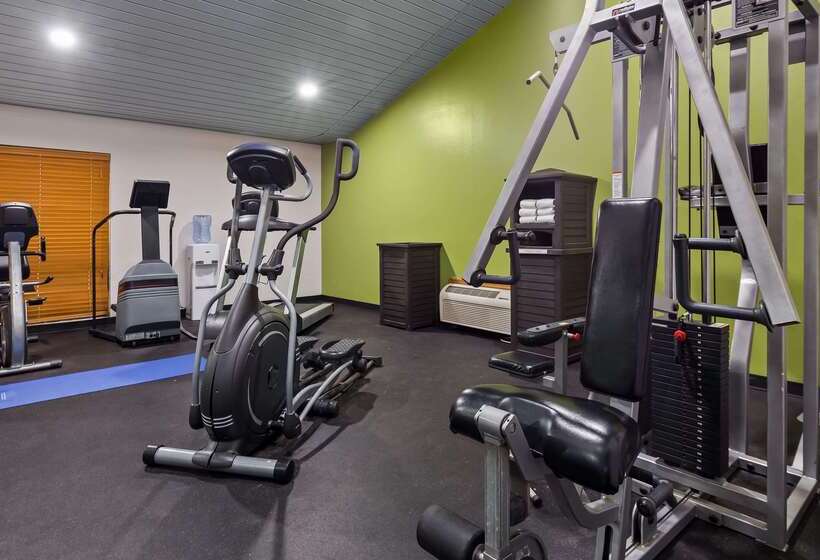 فندق Best Western Shelbyville Inn And Suites Celebration Inn