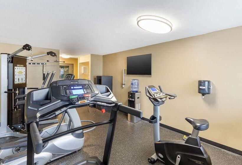 호텔 Best Western St. Louis Inn