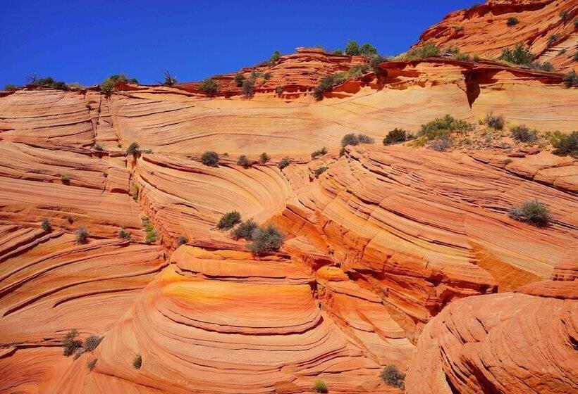 فندق Best Western View Of Lake Powell