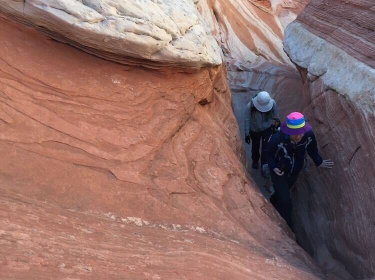 فندق Best Western View Of Lake Powell