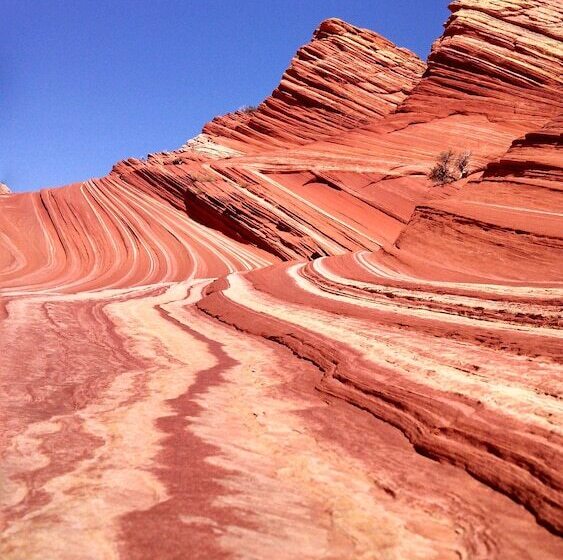 فندق Best Western View Of Lake Powell