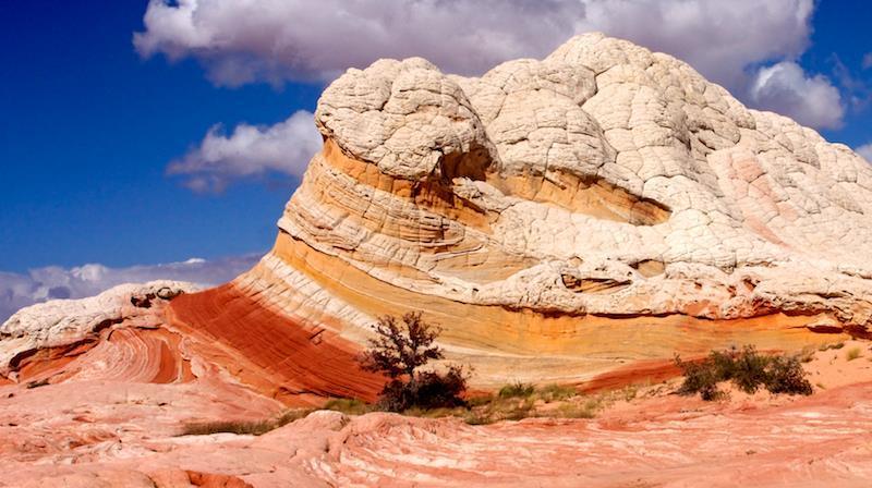 فندق Best Western View Of Lake Powell