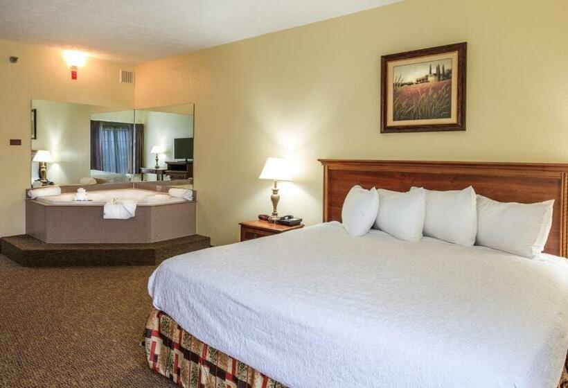 فندق Branson Towers