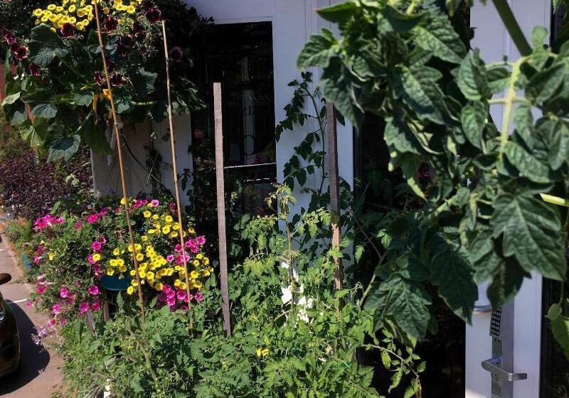 Camden Riverhouse Hotel And Inn