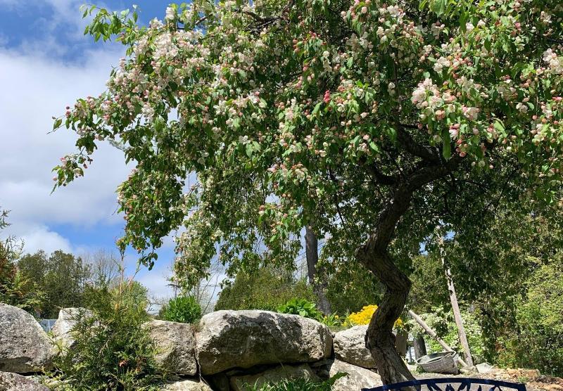 Camden Riverhouse Hotel And Inn