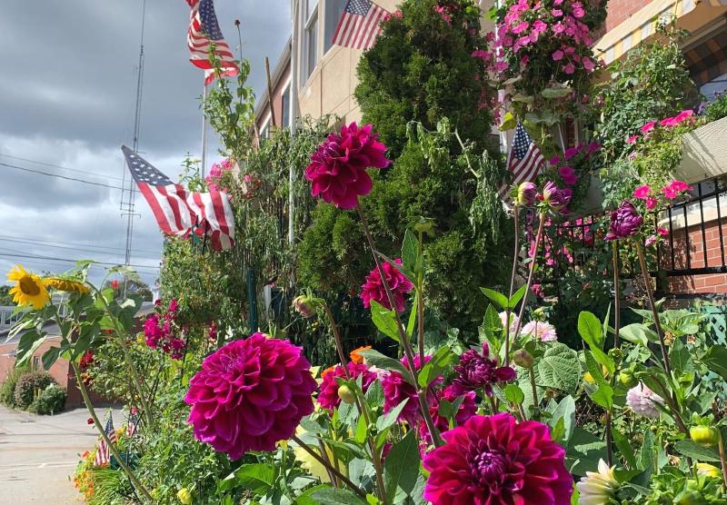 Camden Riverhouse Hotel And Inn