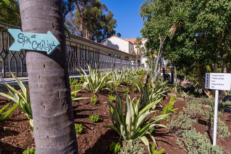 فندق Catalina Canyon Inn