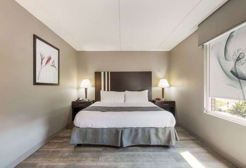 Отель Clarion Pointe Greensboro Airport