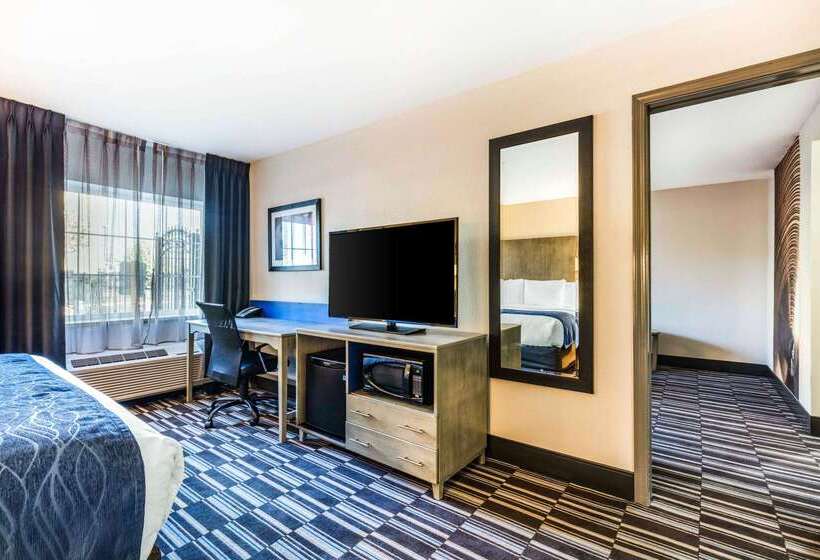 酒店 Comfort Inn Airport