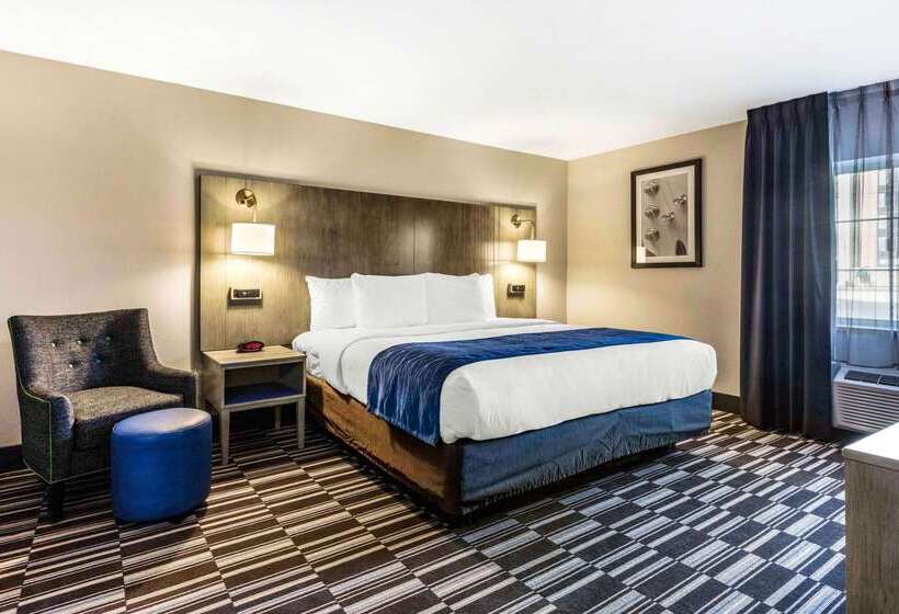 酒店 Comfort Inn Airport