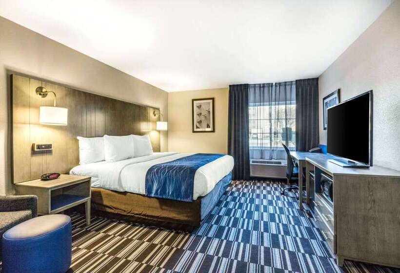 酒店 Comfort Inn Airport