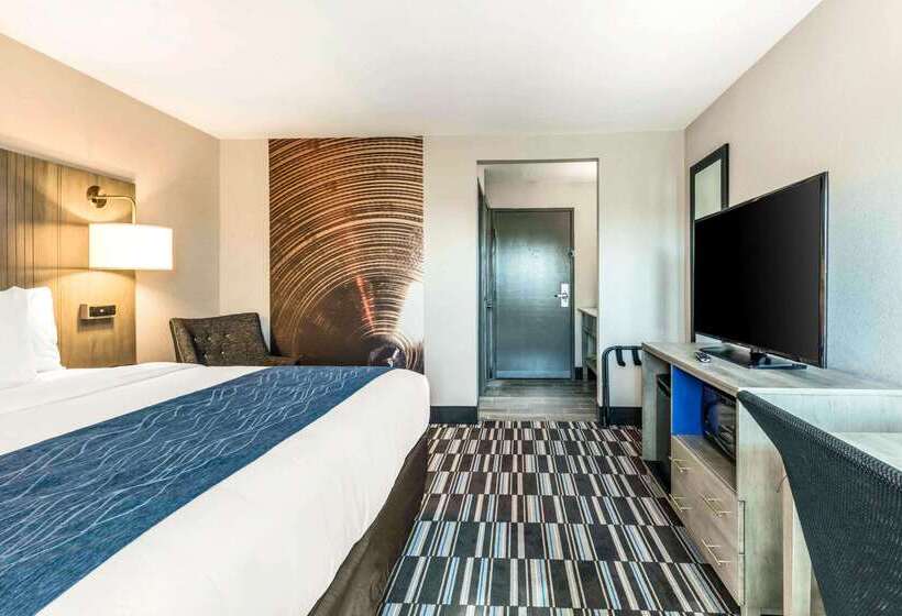 酒店 Comfort Inn Airport