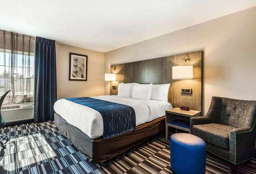 酒店 Comfort Inn Airport